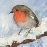 Аватар канала 1470802178