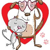 Аватарка канала Помощь бездомным животным ❤ Сердцем к сердцу ❤