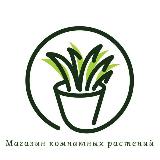 Аватарка канала КОМНАТНЫЕ РАСТЕНИЯ РОСТОВ
