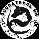 Аватарка канала ЗООПАТРУЛЬ-НН (группа помощи бездомным животным)