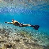 Аватарка канала 🐬 Школа Фридайвинга имени Н. Молчановой