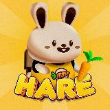 Аватарка канала Hare