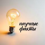 Аватарка канала Научные факты💡