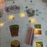 Аватарка канала Конспекты | БиоУм