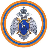 Аватарка канала МЧС Самарской области