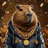 Аватарка канала Раздачи от Капибары /WB/Ozon/Кэшбэк за отзыв