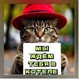 Аватарка канала КОТЕЛЬ СМОЛЕНСК ❤️🐈