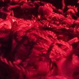 Аватарка канала Поборник радикальной толерантности 18+