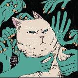 Аватарка канала kотумба(!)