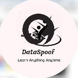Аватарка канала DataSpoof