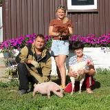 Аватарка канала RozhinTV