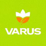 Аватарка канала VARUS