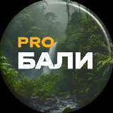 Аватарка канала pro.Бали