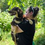 Аватарка канала Четыре Лапы 🐕🐈