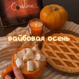 Аватарка канала вайбовая осень✨
