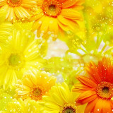 Аватарка канала МиссТелеграм |