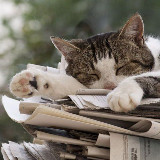 Аватар канала 1404924240