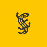 Salamander avatar