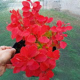 Аватар канала 1606405235