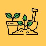 Аватарка канала Сад и огород | Дача