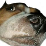 Аватар канала 1429876995