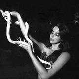 Аватарка канала "гусянин"