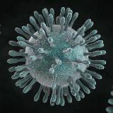 Аватарка канала PH Coronavirus Updates 🇵🇭