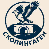 Аватарка канала СКОПИНГАГЕН