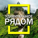 Аватарка канала Удивительное рядом! Факты, природа, наука