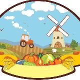 Аватарка канала ГБУ "МИКЦ АПК"