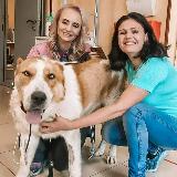 Аватарка канала Команда Виктория | Приют для животных "ДОБРЫЕ РУКИ"