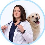 Аватарка канала Ветеринар Бубликова Юлия