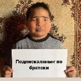 Аватарка канала Дормидонтов у аппарата