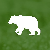 Аватарка канала Природа России