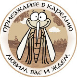 Аватарка канала 🦟 Карельский комарик | Петрозаводск и Карелия