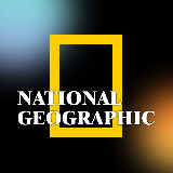 Аватарка канала National Geographic