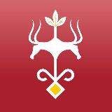 Аватарка канала Администрация Майкопа | НОВОСТИ