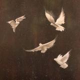 Аватар канала 1682241184