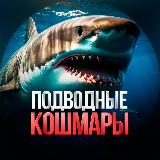 Аватарка канала Подводные Кошмары