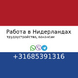 Аватарка канала Работа в Нидерландах / Голландии 🇳🇱