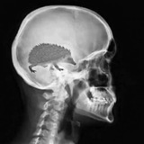 Аватарка канала Макс Бродский - мысли вслух - 🇮🇱 Новости Израиль | Ближний Восток | Война | Газа