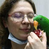 Аватар канала 1591964365