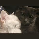 Аватарка канала 🌱 Movies Star Reviews