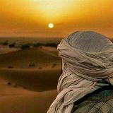 مشروع إحياء الشعر الجاهلي avatar