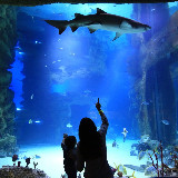 Аватарка канала ЯРКИЕ БУДНИ