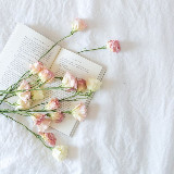 Аватарка канала с книгой по душам