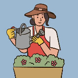 Аватарка канала Цветы и растения