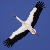 Аватарка канала Подслушано Беларусь