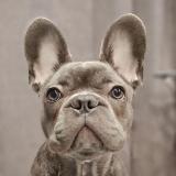 Аватар канала 1932242768