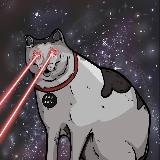 Аватарка канала мемы про котов